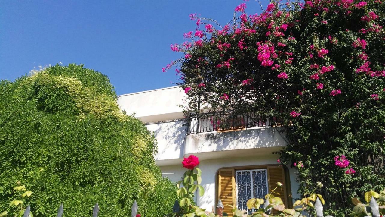 Villa Mary Trani Buitenkant foto
